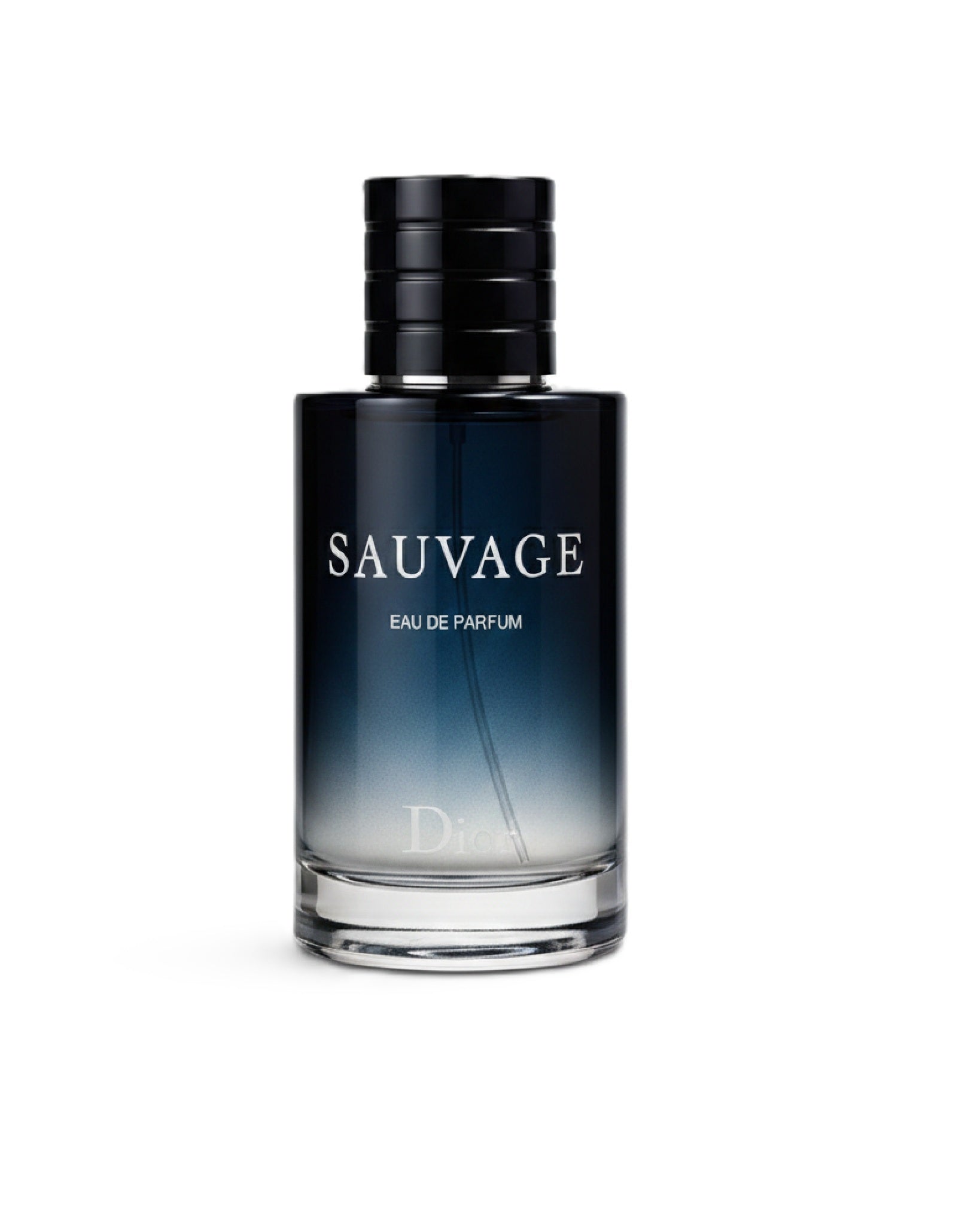 Sauvage Eau De Parfum 100ML